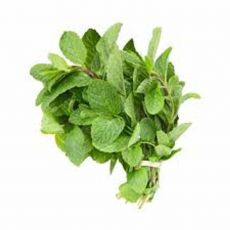Mint leaves (Podina) 