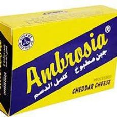 Ambrosia Slice Cheese 200 Gram