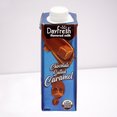 Day Fresh Chocolate Salted Caramel Milk, 225m